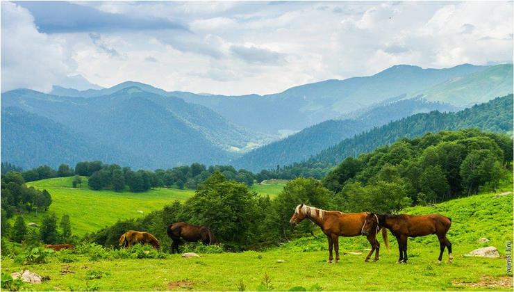 Гора Мамдзышха + Альпийские луга