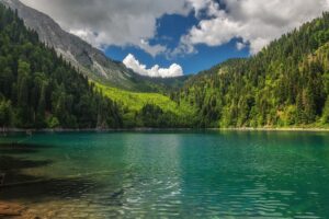 Озеро Рица (утренний выезд)