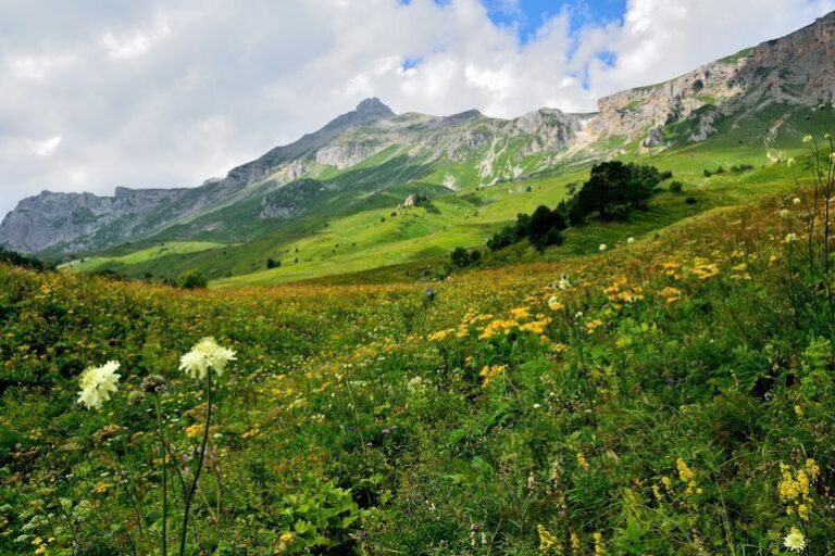 Перевал Пыв — фото 8, экскурсия в Гагра (выезд по всей Абхазии)
