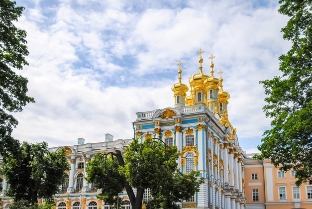 Обзорная экскурсия по Петербургу с Кунсткамерой