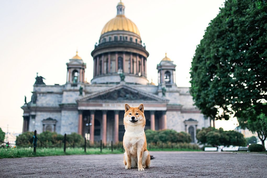 Экскурсия по Петербургу «Свидание с Северной столицей»
