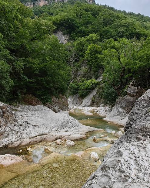 Джиппинг в Кодорском ущелье